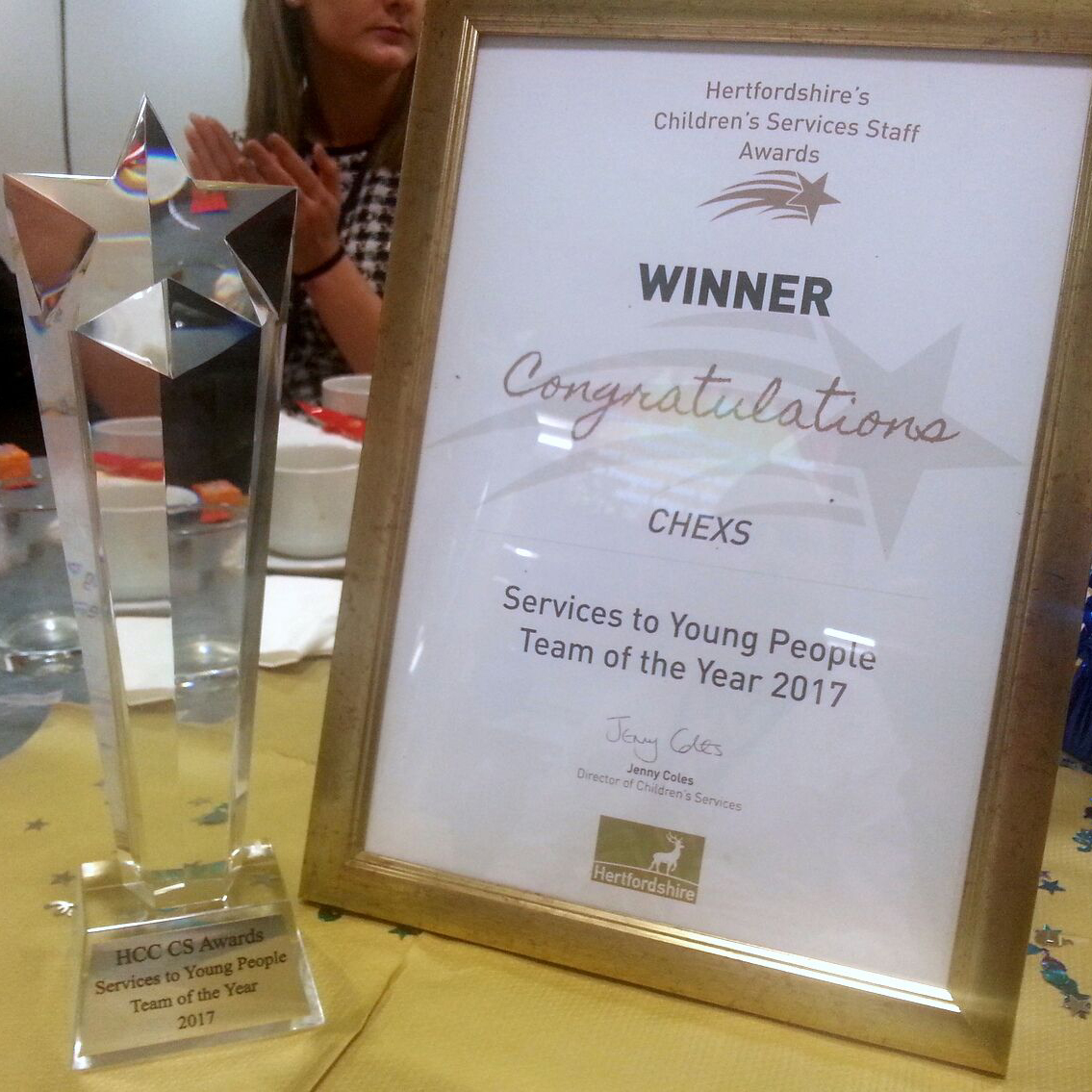 CHEXS-servcies-to-young-people-2017